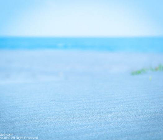 Dreamy World
