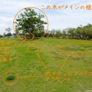 広い草原に木が一本 ポイント