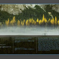 LightroomCCレビュー