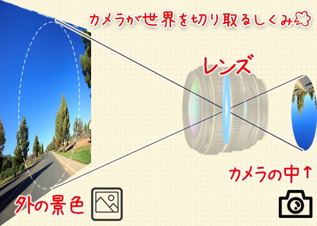 レンズは丸いのに写真は四角い イメージサークル