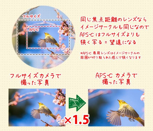 APS-Cの望遠効果