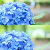 三分割構図の比較