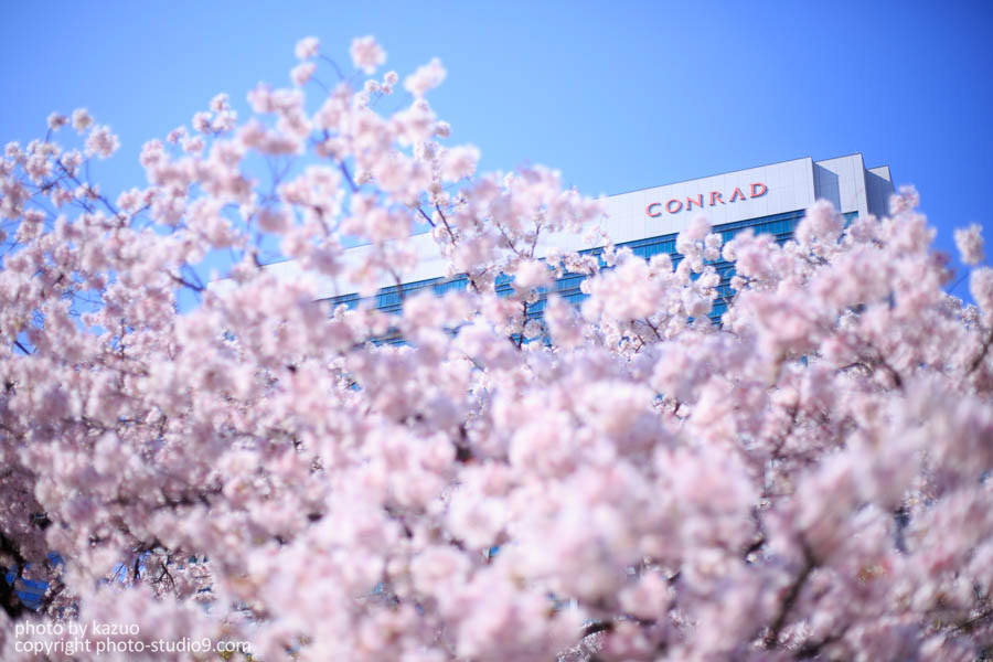 ★大定番★ Canon キヤノン EF50mm F1.8 II 単焦点レンズ