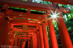 京都 伏見稲荷