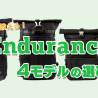 Endurance　比較