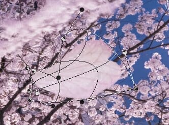 夜桜 現像 レタッチ Photoshop