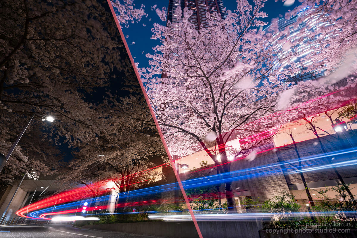 夜桜をlightroomとphotoshopを使ってraw現像 レタッチするためのワークフローを紹介するよ Studio9