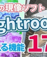 Lightroomまとめ