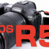 EOS R5 レビュー