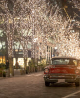 NiSi ブラックミストフィルター レビュー