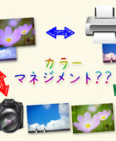 カラーマネジメント