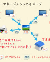 カラーマネジメントのイメージ